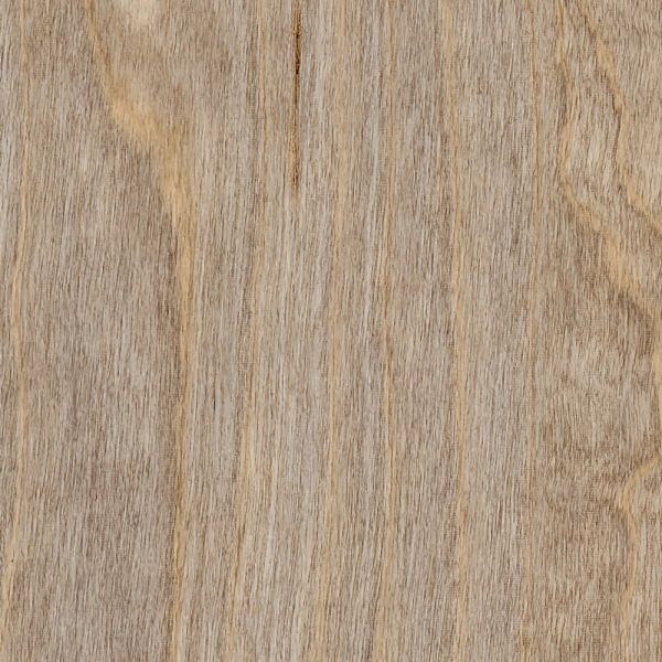 Amtico First Wood | Bleached Elm SF3W2516