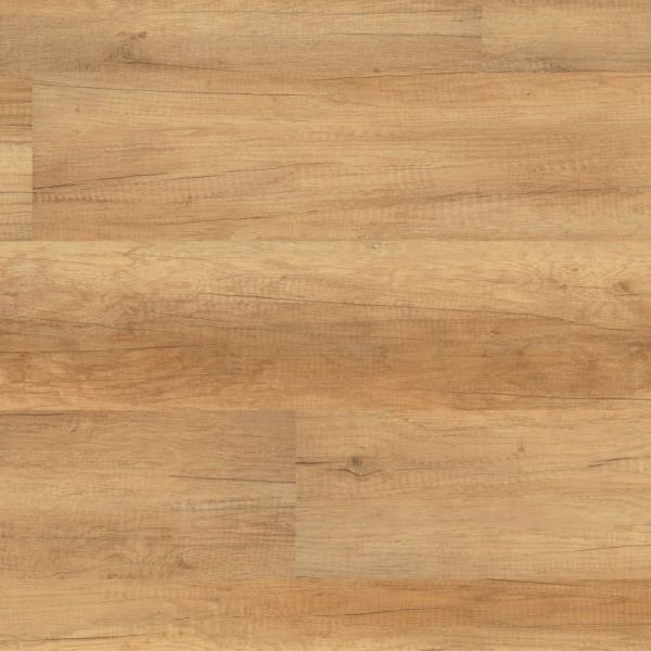 Wineo 1000 wood zum klicken | Calistoga Nature PLC001R