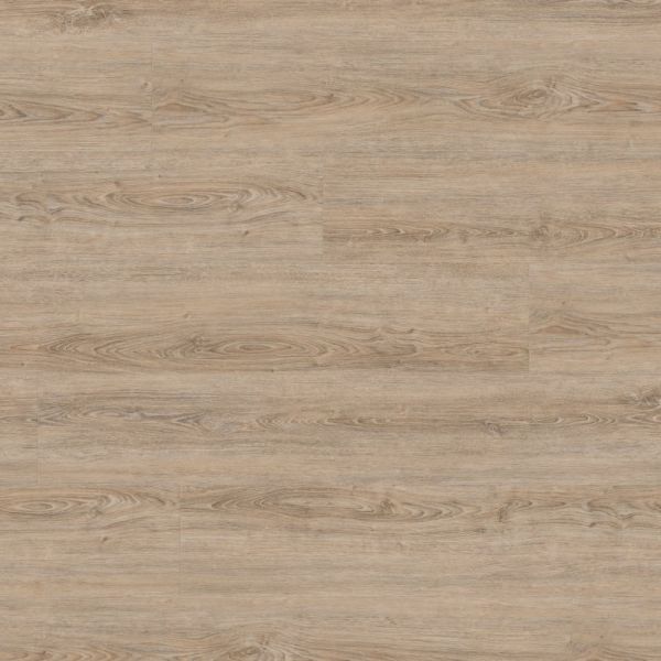 Wineo 800 wood XL Klebevinyl | Clay Calm Oak
