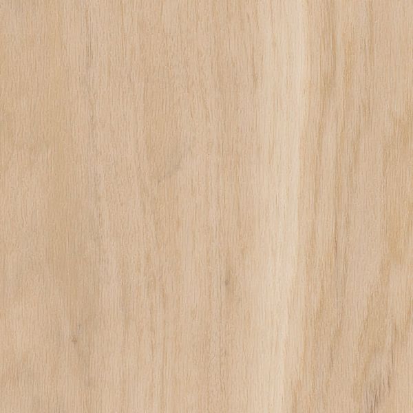 Amtico Spacia Wood | Eden Oak SS5W1010