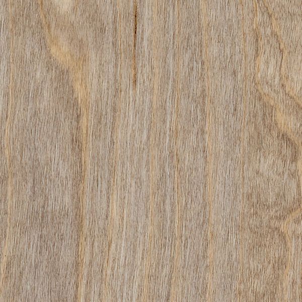 Amtico Spacia Wood | Bleached Elm SS5W2516