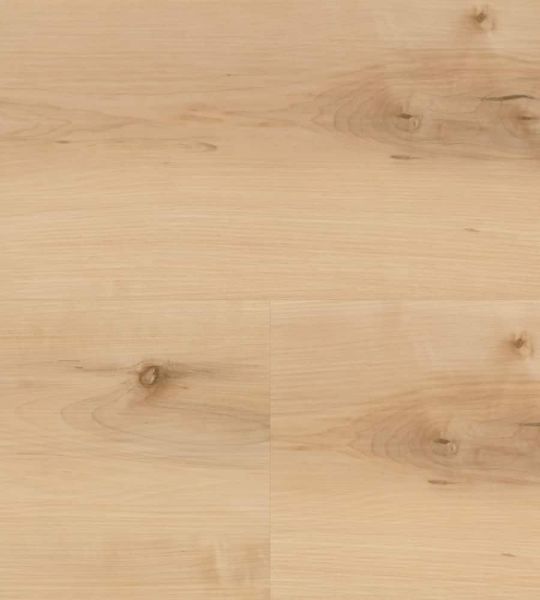 Wineo 400 wood L | Nordic Maple Cream MLD289WXL | Multi-Layer zum Klicken