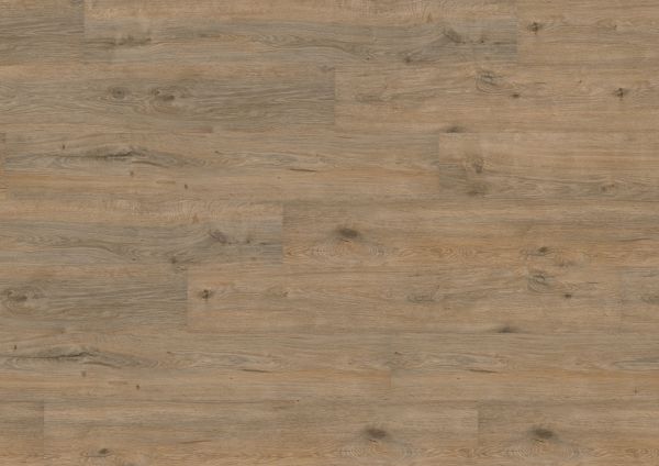 Wineo 1000 wood Multi-Layer | Valley Oak Soil MLP041R