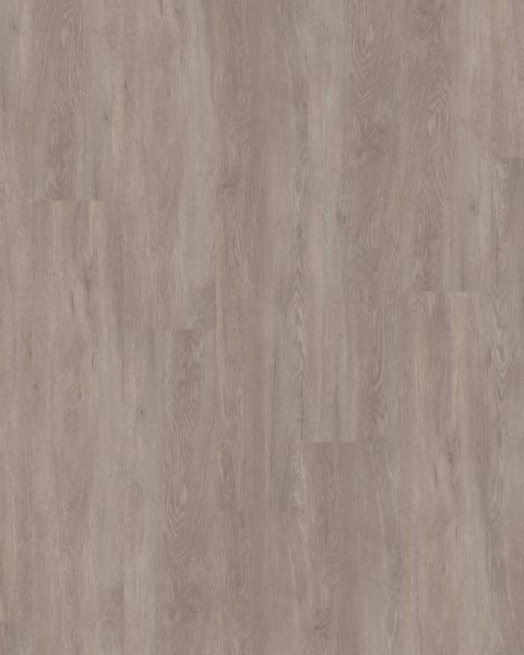 JOKA Design 555 | 5425 Afr.Grey Oak - Dryback