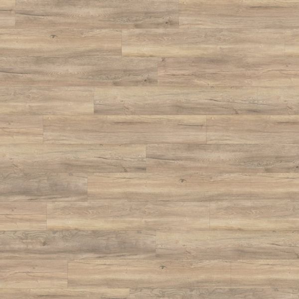 Wineo 700 wood L V4 | Spain Oak Beigebrown