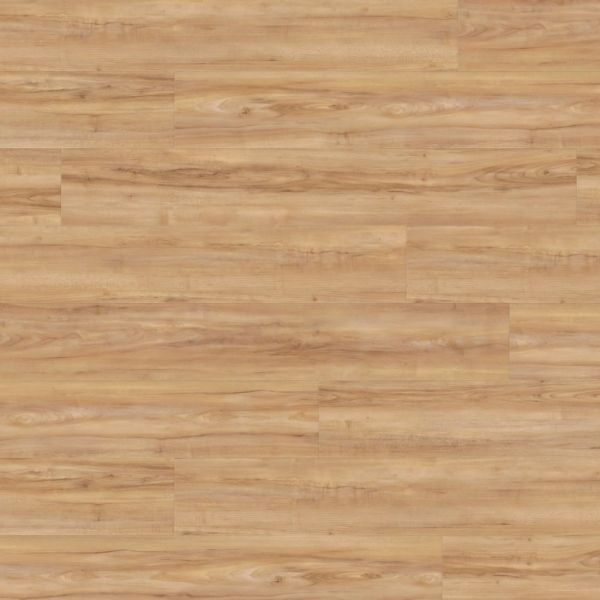Wineo 800 wood Klebevinyl | Honey Warm Maple