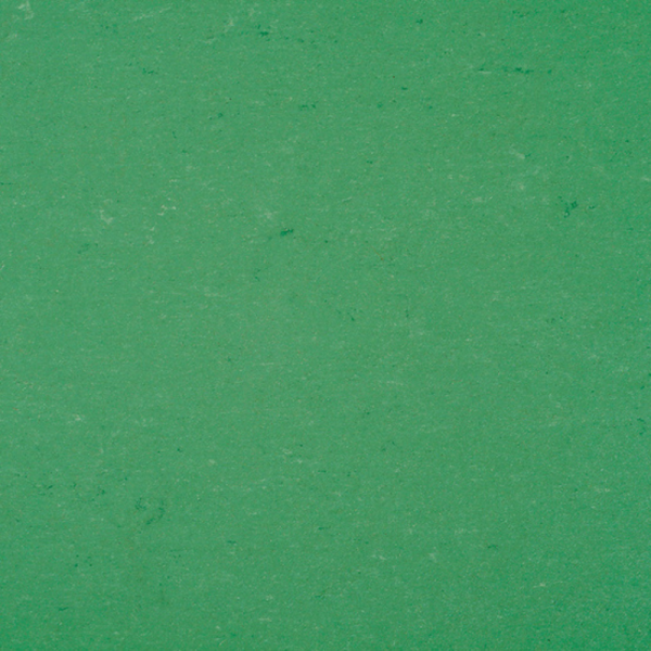 DLW Colorette Neocare | 0006 Vivid Green