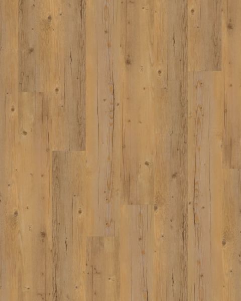 JOKA Design 555 | 5407 Blond Pine - Dryback