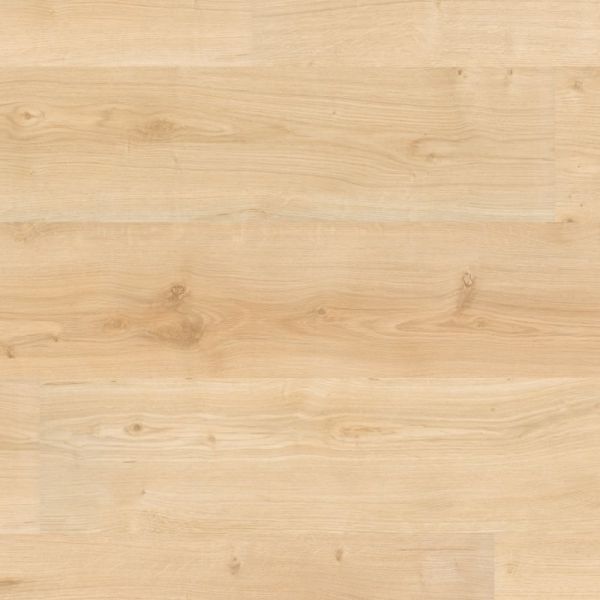 Wineo 1000 wood zum klicken | Garden Oak PLC005R
