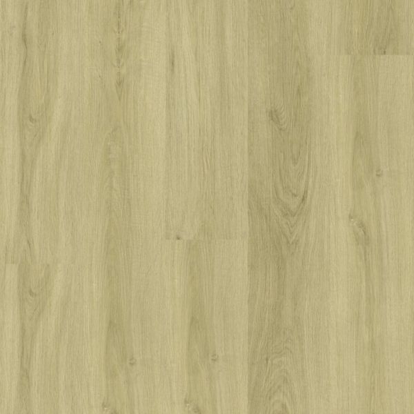 MEGA Concept 30 raw oak 3586