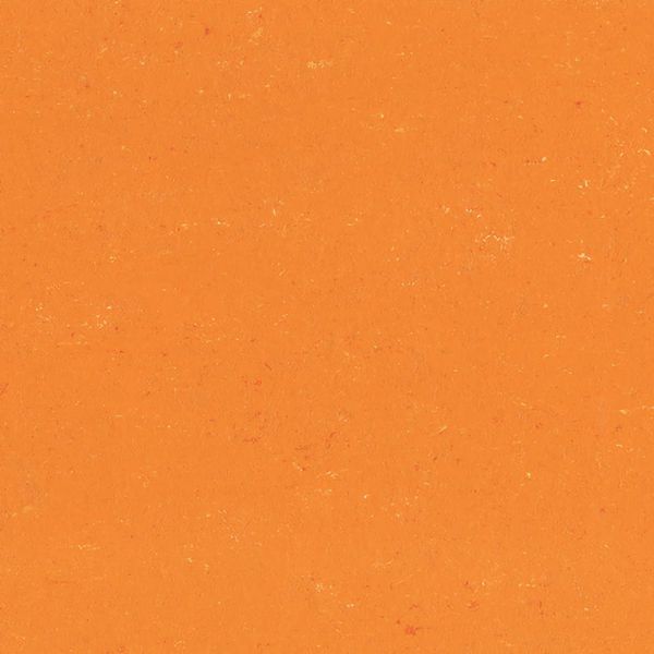 DLW Colorette Neocare | 0170 Kumquat Orange